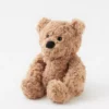 Aerie Warmies Teddy Bear