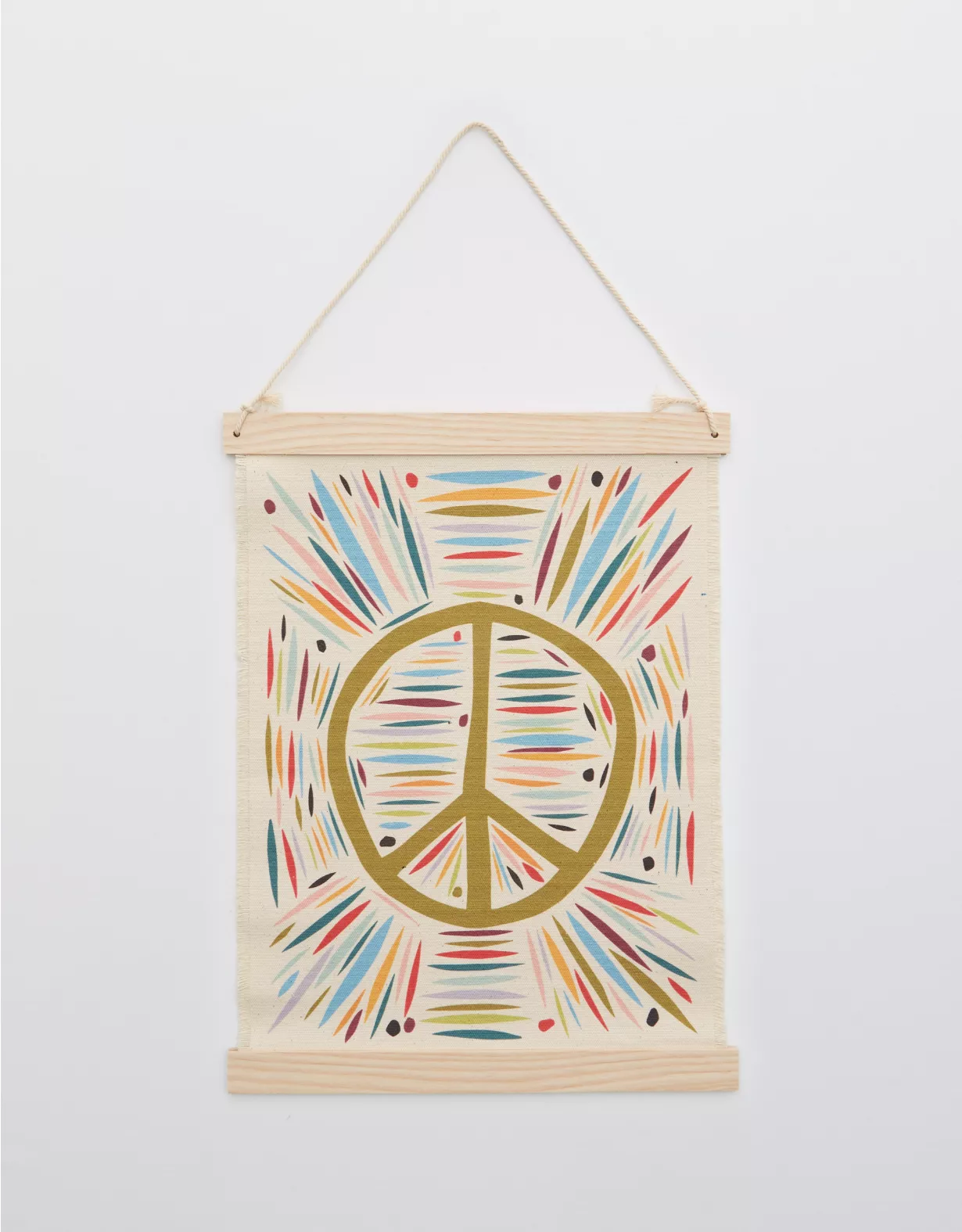 Aerie Fringe Canvas Wall Hangings 1 Aerie Fringe Canvas Wall Hangings