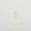 Aerie Elum Affirmations Art Print