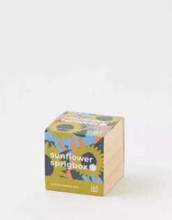 Aerie Sprigbox Planter