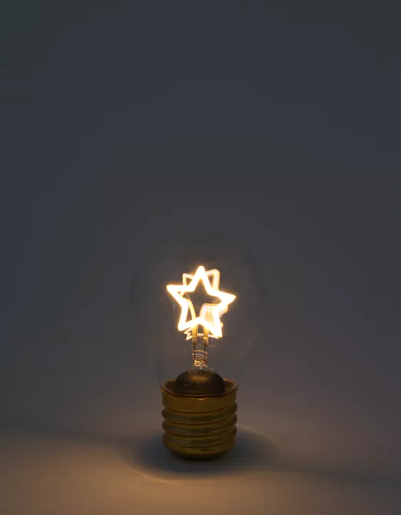 Aerie Star Bulb Light 2 Aerie Star Bulb Light - Image 2