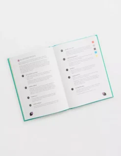 Aerie Make A TikTok Everyday Book -Outlet Aerie Chic Store 5498 9000 900 d1