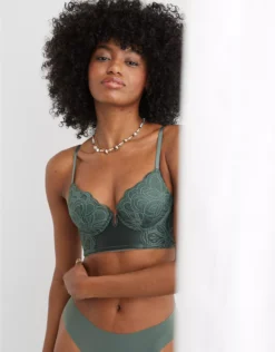 Aerie Show Off Plunge Push Up Rooftop Garden Lace Bra